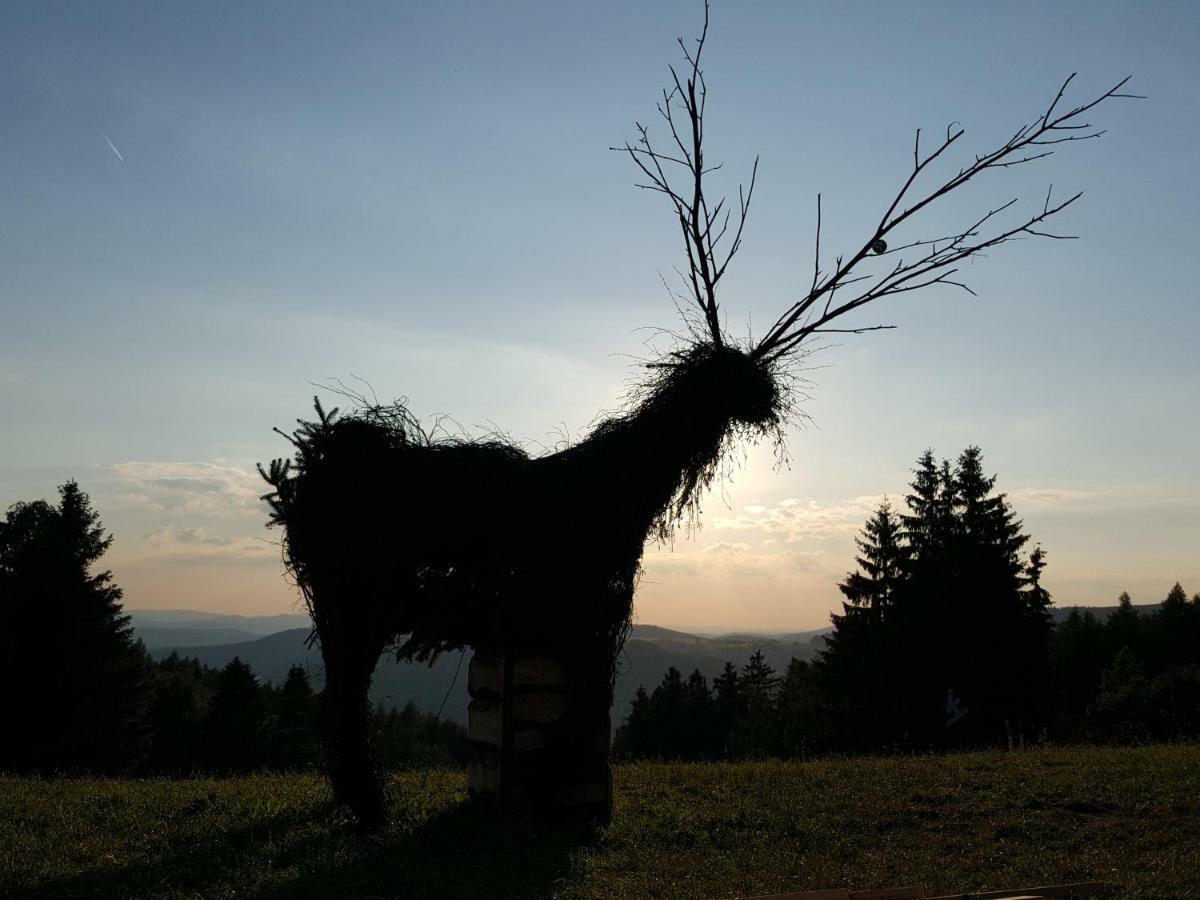 Ferienhaus Am Kirchberg Kurort Steinbach-Hallenberg Екстериор снимка