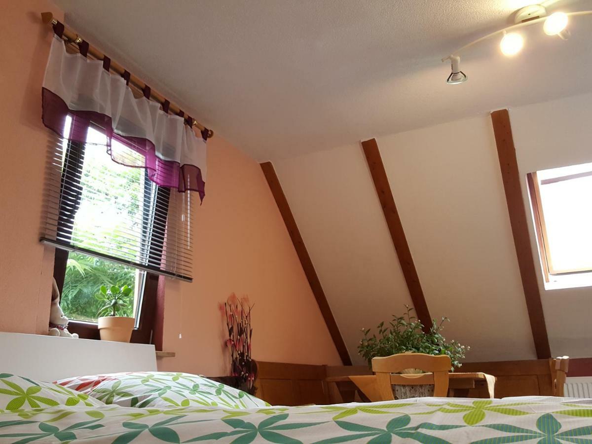 Ferienhaus Am Kirchberg Kurort Steinbach-Hallenberg Екстериор снимка