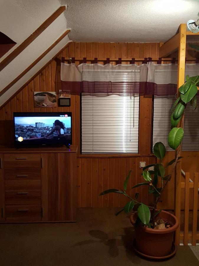Ferienhaus Am Kirchberg Kurort Steinbach-Hallenberg Екстериор снимка