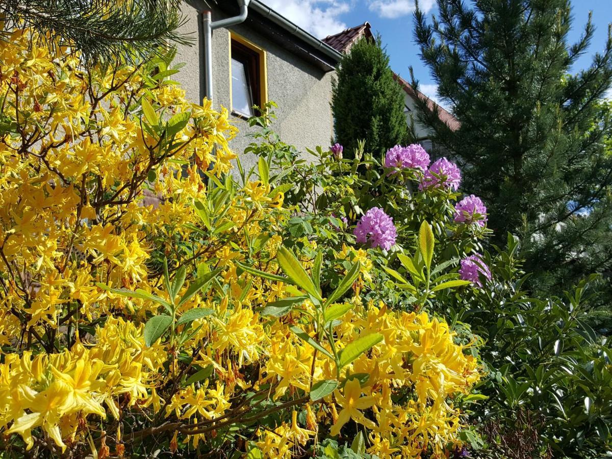 Ferienhaus Am Kirchberg Kurort Steinbach-Hallenberg Екстериор снимка
