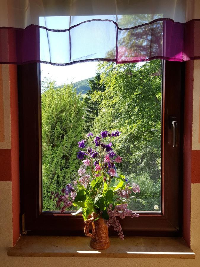 Ferienhaus Am Kirchberg Kurort Steinbach-Hallenberg Екстериор снимка